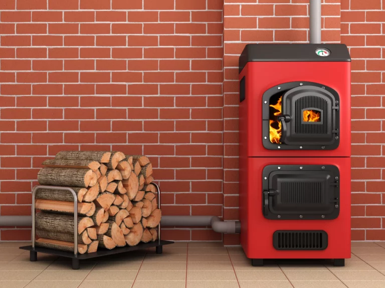 Biomass bOiler